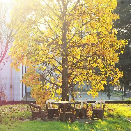 Modern Luci & Stelle Near * Bulciago